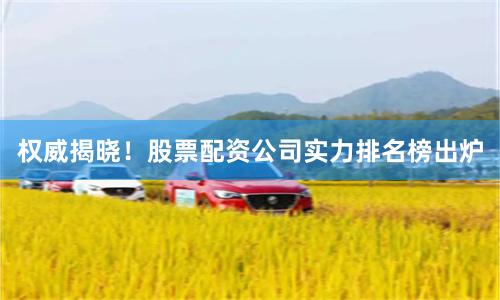 权威揭晓！股票配资公司实力排名榜出炉