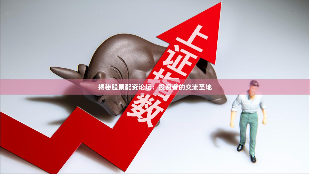 揭秘股票配资论坛：投资者的交流圣地